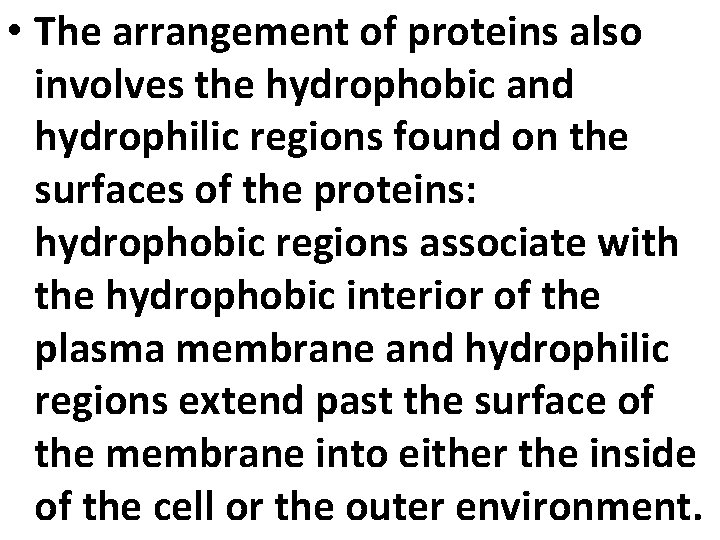  • The arrangement of proteins also involves the hydrophobic and hydrophilic regions found