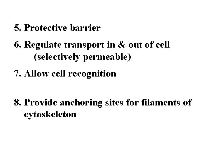 5. Protective barrier 6. Regulate transport in & out of cell (selectively permeable) 7.