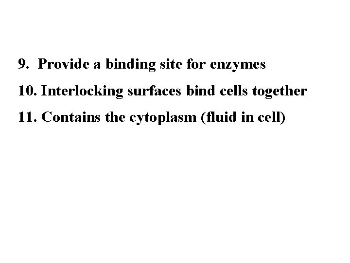 9. Provide a binding site for enzymes 10. Interlocking surfaces bind cells together 11.