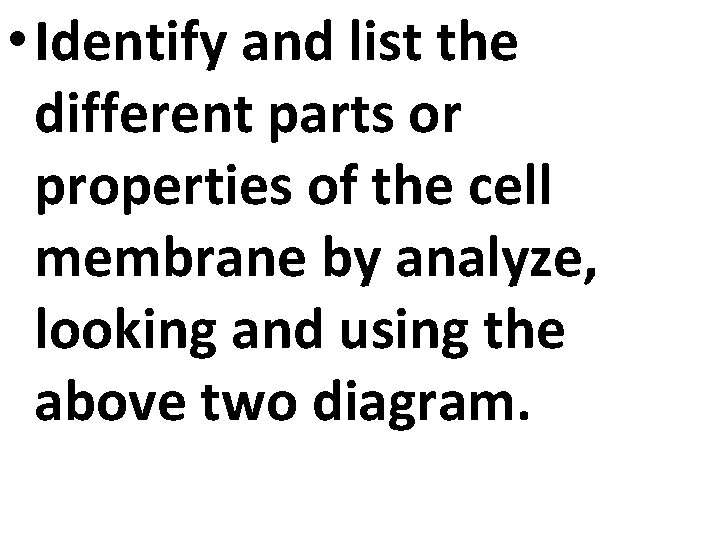  • Identify and list the different parts or properties of the cell membrane