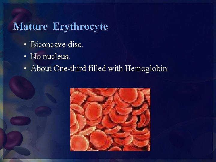 Mature Erythrocyte • Biconcave disc. • No nucleus. • About One-third filled with Hemoglobin.