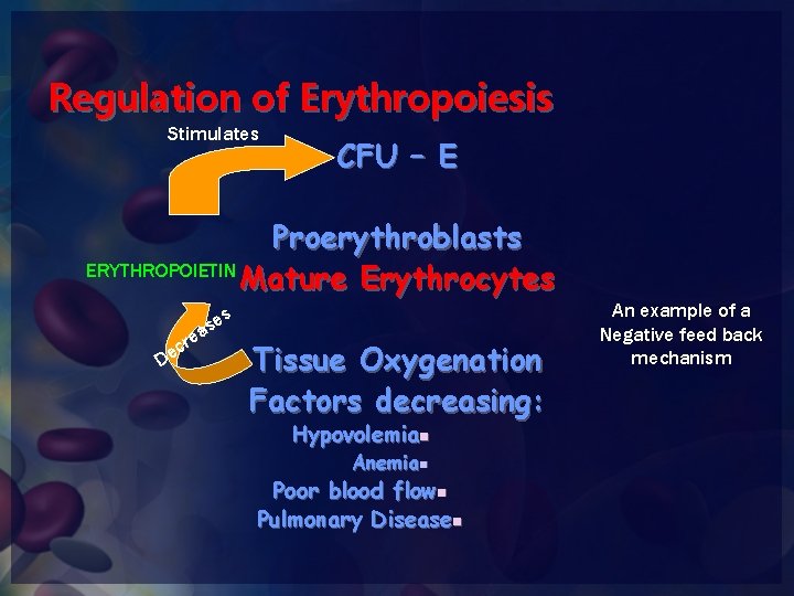Regulation of Erythropoiesis Stimulates CFU – E Proerythroblasts ERYTHROPOIETIN Mature Erythrocytes s se De