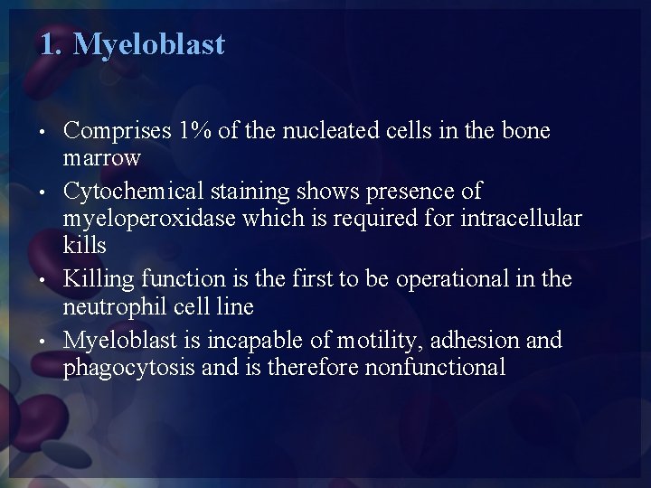 1. Myeloblast • • Comprises 1% of the nucleated cells in the bone marrow