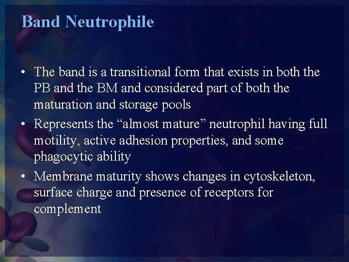 Band Neutrophile • The band is a transitional form that exists in both the