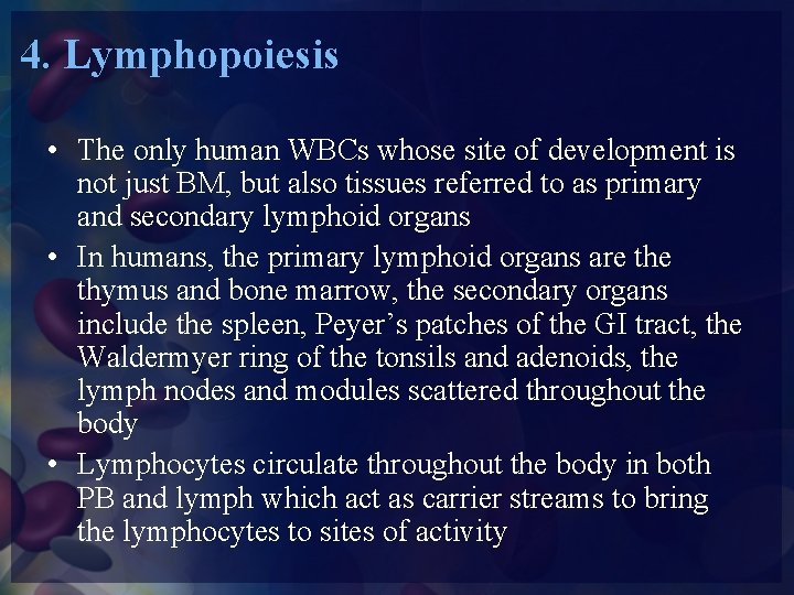 4. Lymphopoiesis • The only human WBCs whose site of development is not just
