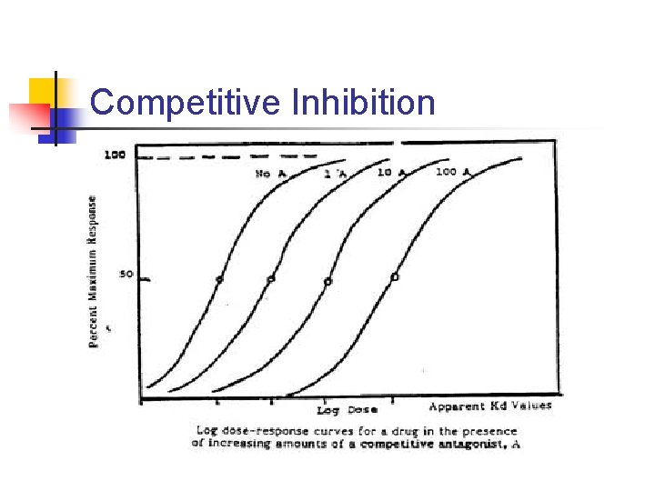 Competitive Inhibition 