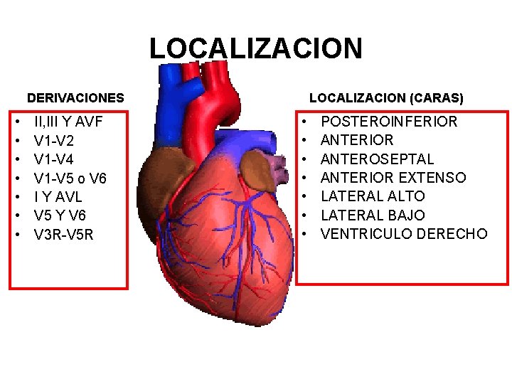 LOCALIZACION DERIVACIONES • • II, III Y AVF V 1 -V 2 V 1