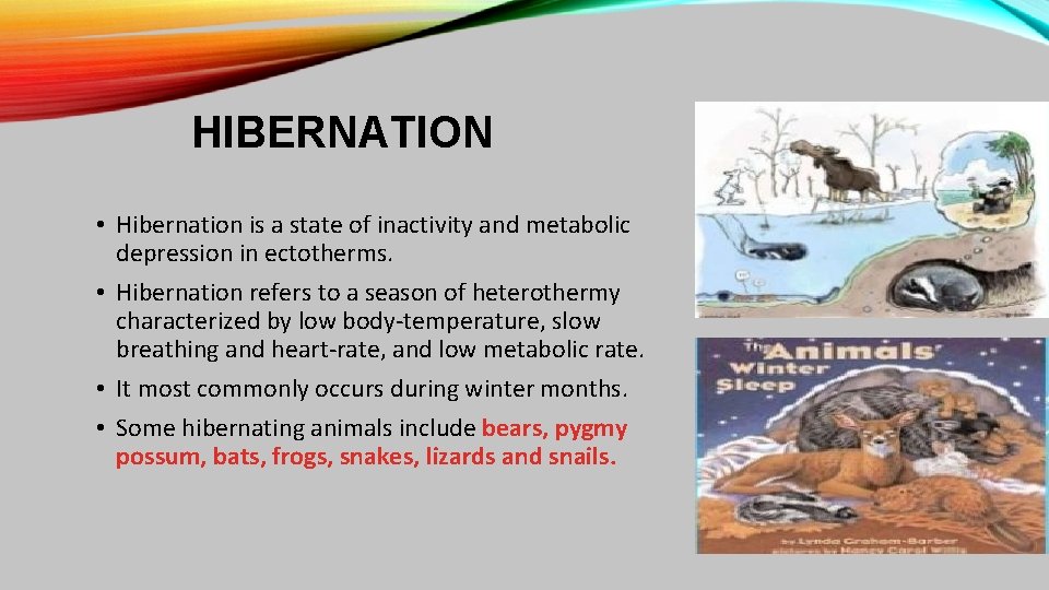 HIBERNATION • Hibernation is a state of inactivity and metabolic depression in ectotherms. •