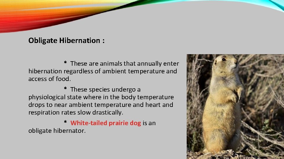 Obligate Hibernation : * These are animals that annually enter hibernation regardless of ambient