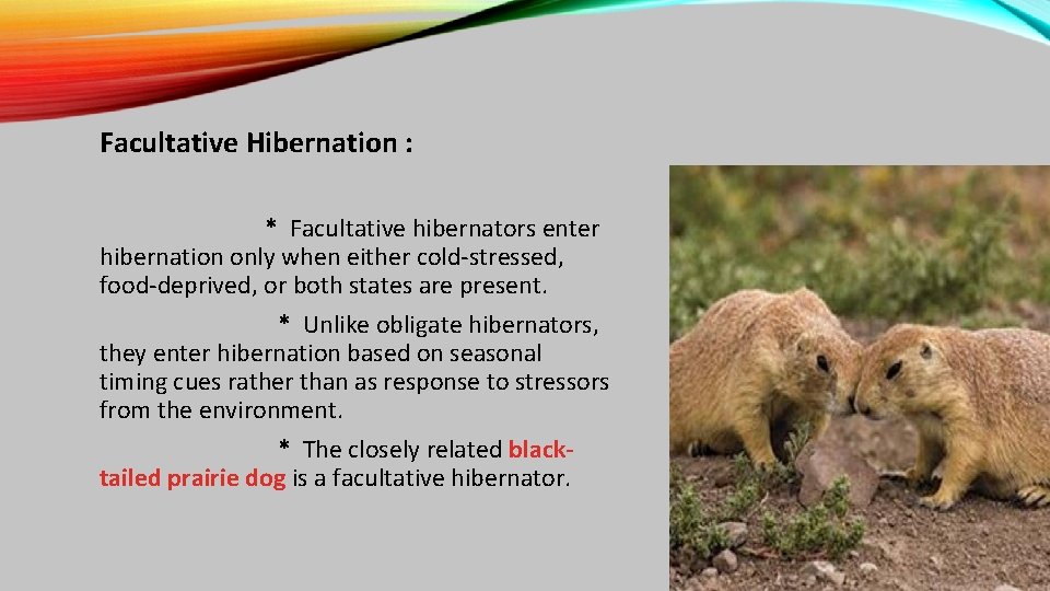 Facultative Hibernation : * Facultative hibernators enter hibernation only when either cold-stressed, food-deprived, or