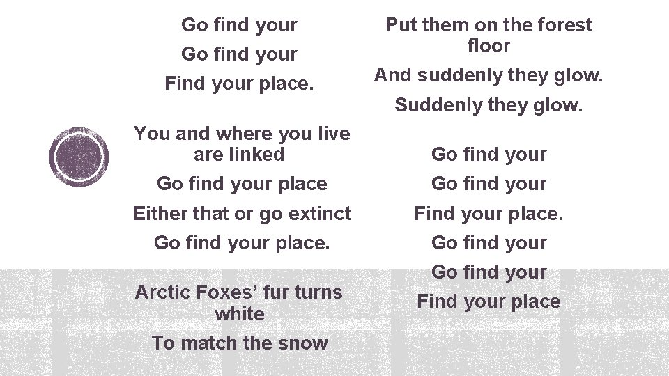 Go find your Put them on the forest floor Find your place. And suddenly