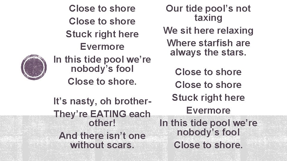 Close to shore Stuck right here Evermore In this tide pool we’re nobody’s fool