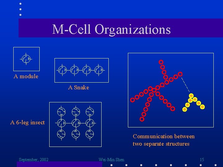M-Cell Organizations f r b l f A module r b l f r