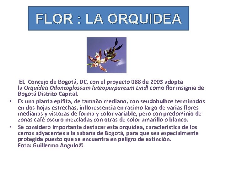 FLOR : LA ORQUIDEA EL Concejo de Bogotá, DC, con el proyecto 088 de