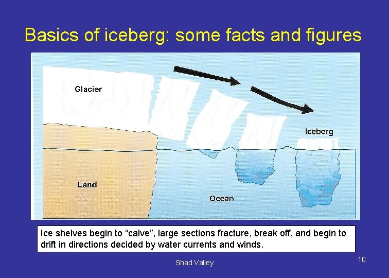 Basics of iceberg: some facts and figures Ice shelves begin to “calve”, large sections