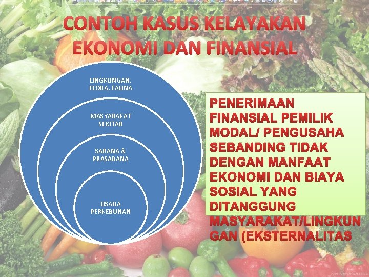 CONTOH KASUS KELAYAKAN EKONOMI DAN FINANSIAL LINGKUNGAN, FLORA, FAUNA MASYARAKAT SEKITAR SARANA & PRASARANA