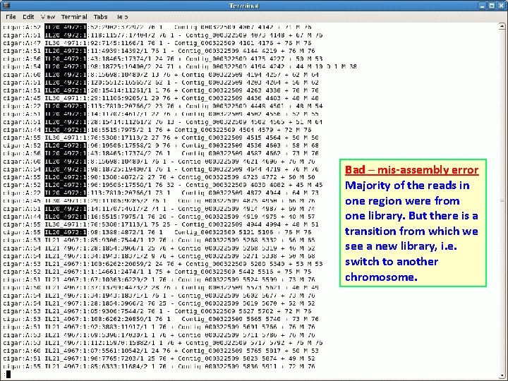 Bad – mis-assembly error Majority of the reads in one region were from one Bad – mis-assembly error Majority of the reads in one region were from one