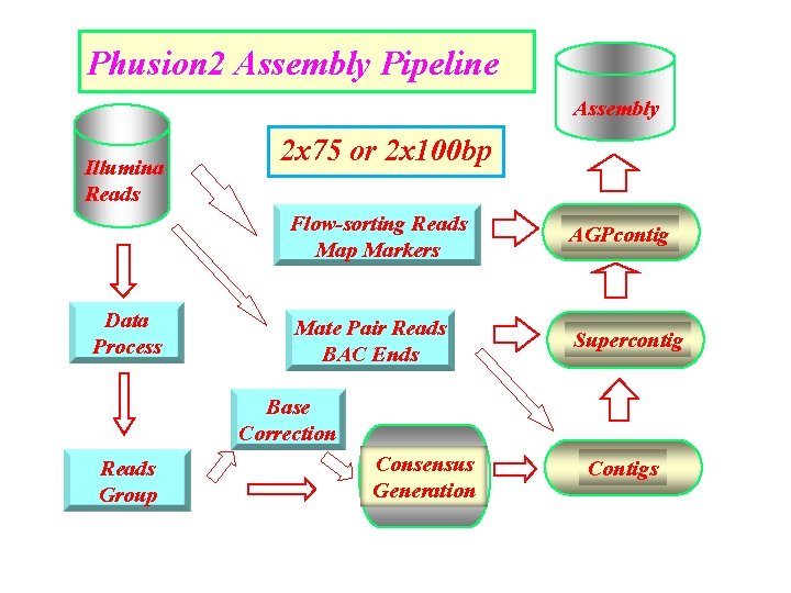 Phusion 2 Assembly Pipeline Assembly Illumina Reads Data Process 2 x 75 or 2 Phusion 2 Assembly Pipeline Assembly Illumina Reads Data Process 2 x 75 or 2