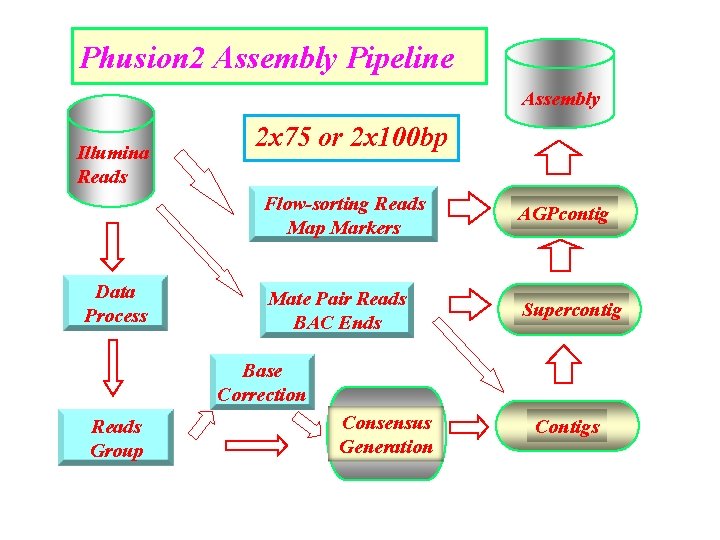 Phusion 2 Assembly Pipeline Assembly Illumina Reads Data Process 2 x 75 or 2