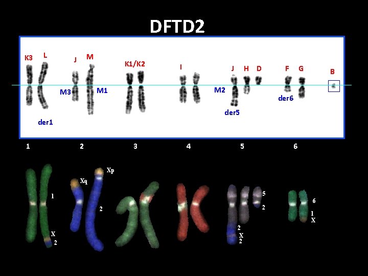 DFTD 2 K 3 L M J K 1/K 2 I G B der DFTD 2 K 3 L M J K 1/K 2 I G B der