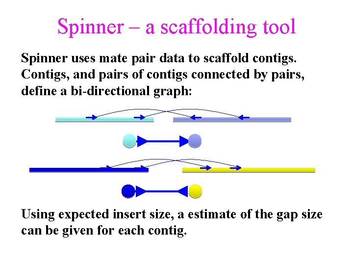 Spinner – a scaffolding tool Spinner uses mate pair data to scaffold contigs. Contigs, Spinner – a scaffolding tool Spinner uses mate pair data to scaffold contigs. Contigs,