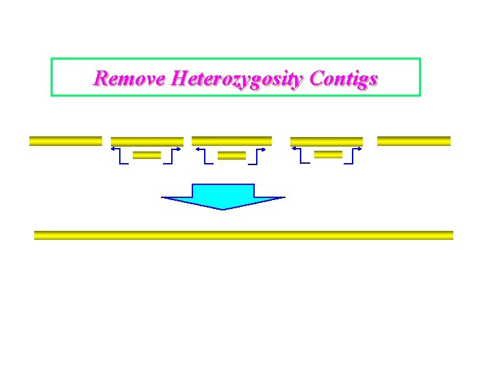 Remove Heterozygosity Contigs 