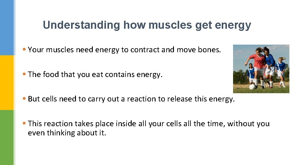 Understanding how muscles get energy § Your muscles need energy to contract and move