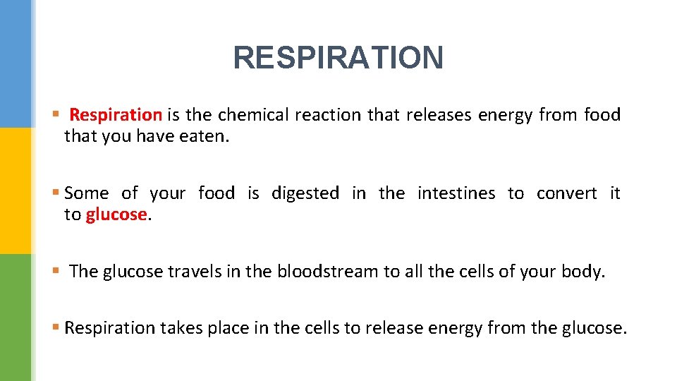 RESPIRATION § Respiration is the chemical reaction that releases energy from food that you