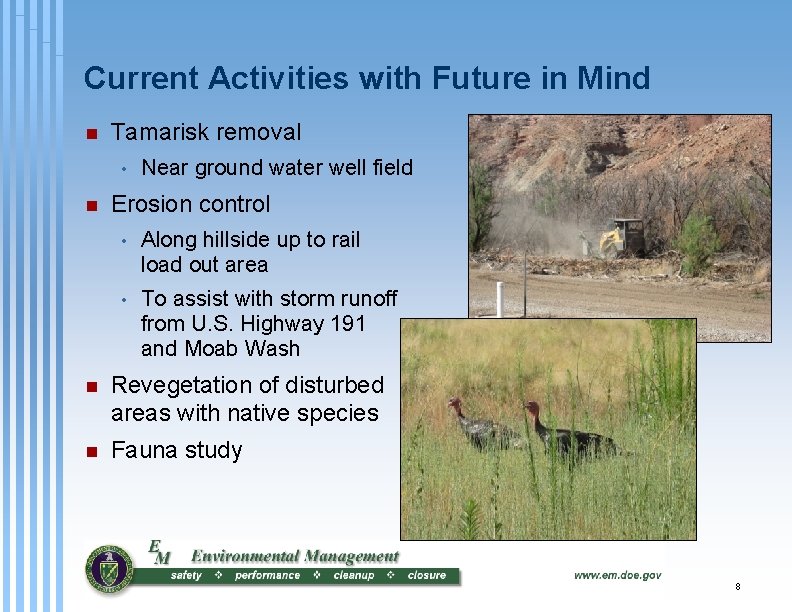 Current Activities with Future in Mind n Tamarisk removal • n Near ground water