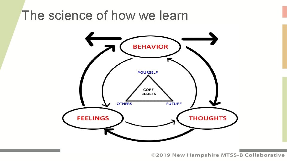 The science of how we learn 