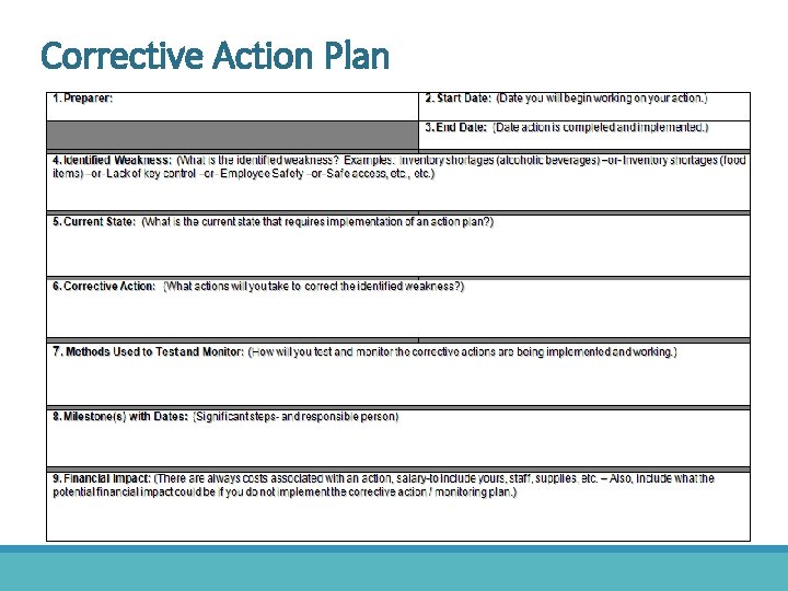 Corrective Action Plan 