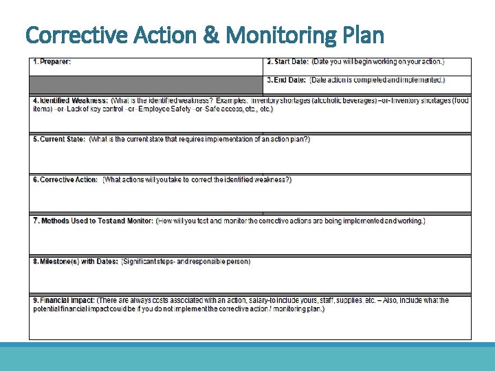 Corrective Action & Monitoring Plan 