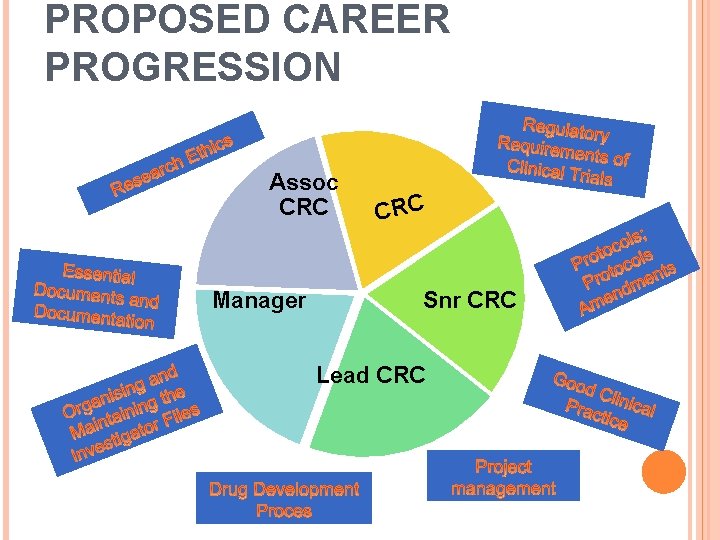 PROPOSED CAREER PROGRESSION Assoc CRC Manager CRC Snr CRC Lead CRC 