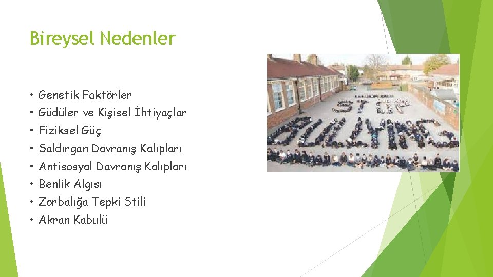 Bireysel Nedenler • Genetik Faktörler • Güdüler ve Kişisel İhtiyaçlar • Fiziksel Güç •