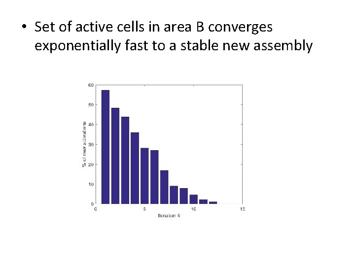  • Set of active cells in area B converges exponentially fast to a
