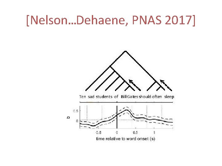 [Nelson…Dehaene, PNAS 2017] 