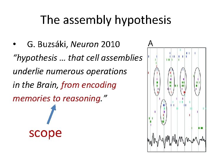 The assembly hypothesis • G. Buzsáki, Neuron 2010 “hypothesis … that cell assemblies underlie
