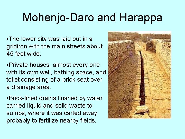 Mohenjo-Daro and Harappa • The lower city was laid out in a gridiron with