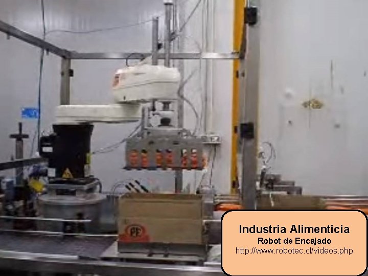 Industria Alimenticia Robot de Encajado http: //www. robotec. cl/videos. php 