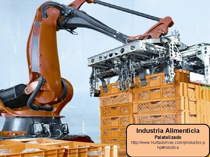 Industria Alimenticia Palatelizado http: //www. hurtadorivas. com/productos. p hp#robotica 