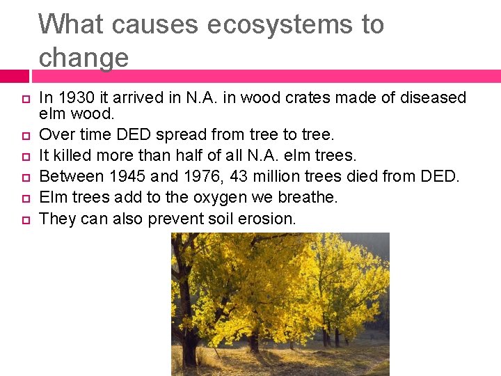 What causes ecosystems to change In 1930 it arrived in N. A. in wood
