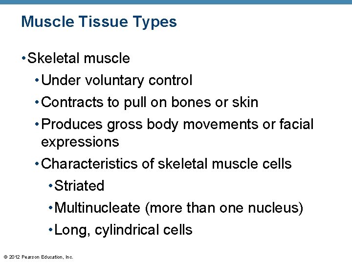 Muscle Tissue Types • Skeletal muscle • Under voluntary control • Contracts to pull