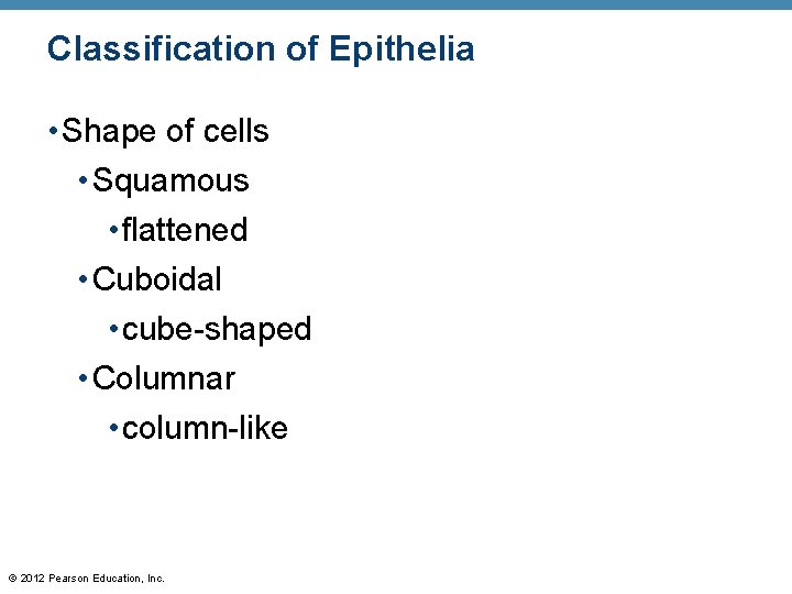 Classification of Epithelia • Shape of cells • Squamous • flattened • Cuboidal •