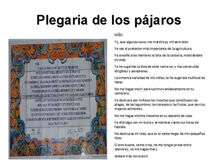 Plegaria de los pájaros NIÑO: Tú, que algunas veces me martirizas, mírame bien. Yo