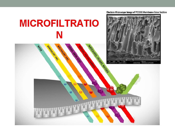 MICROFILTRATIO N MICROFILTRATIO N