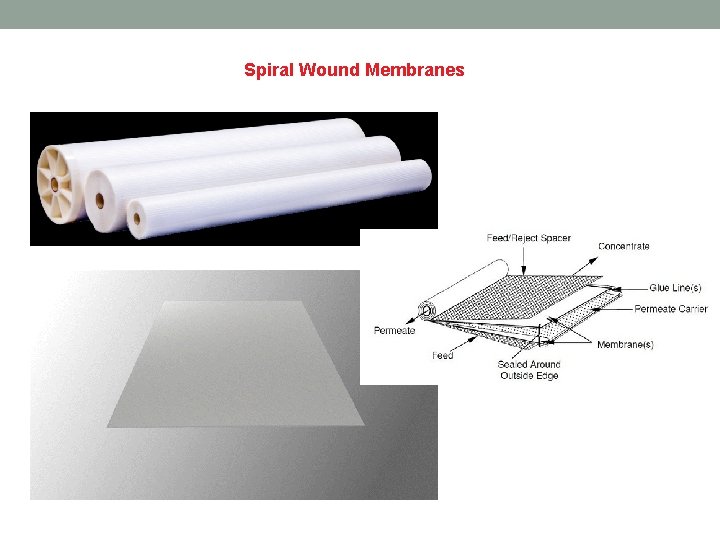 Spiral Wound Membranes 