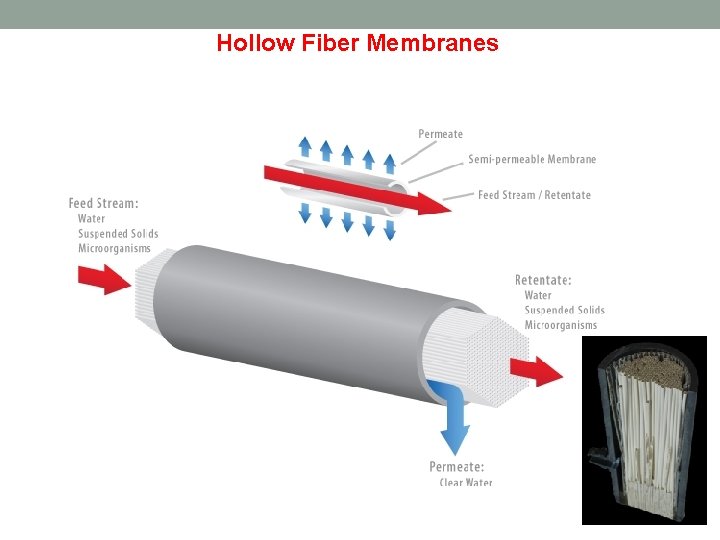 Hollow Fiber Membranes 