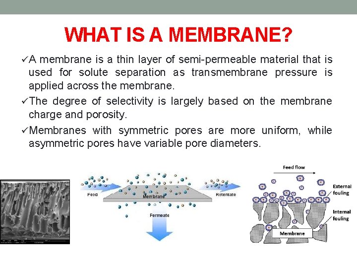 WHAT IS A MEMBRANE? üA membrane is a thin layer of semi-permeable material that