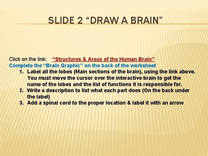 SLIDE 2 “DRAW A BRAIN” Click on the link: “Structures & Areas of the