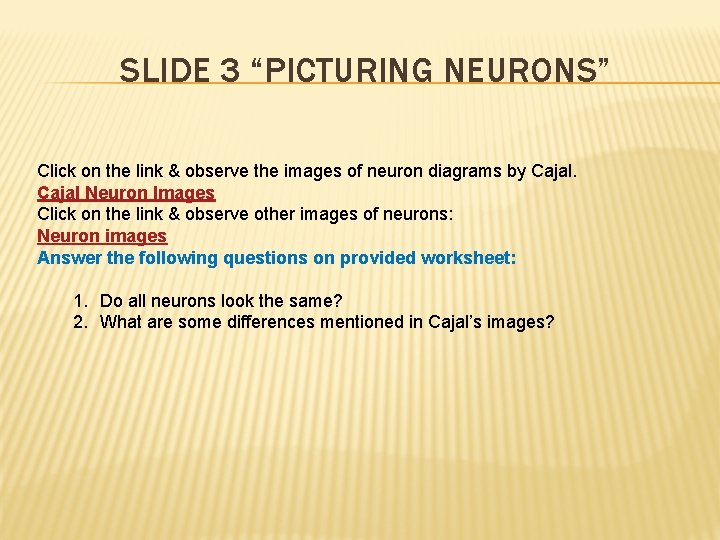 SLIDE 3 “PICTURING NEURONS” Click on the link & observe the images of neuron